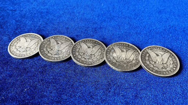 Morgan Dollar 5 Coin Set by N2G - Imagen 3