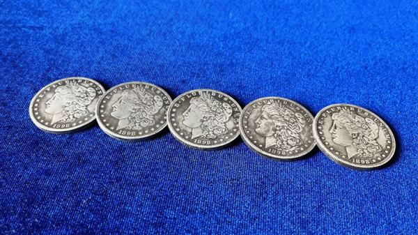Morgan Dollar 5 Coin Set by N2G - Imagen 2