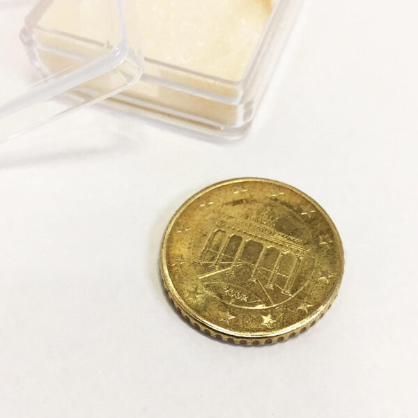 Super Strong Magnetic Coin (50 Cent Euro) - Imagen 2
